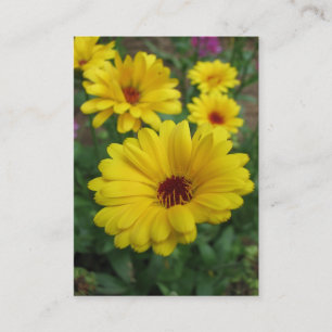 Calendulas ATC Visitkort