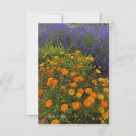 Calendulas & Lavender Anteckningskort