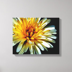 Calendulawow Canvastryck
