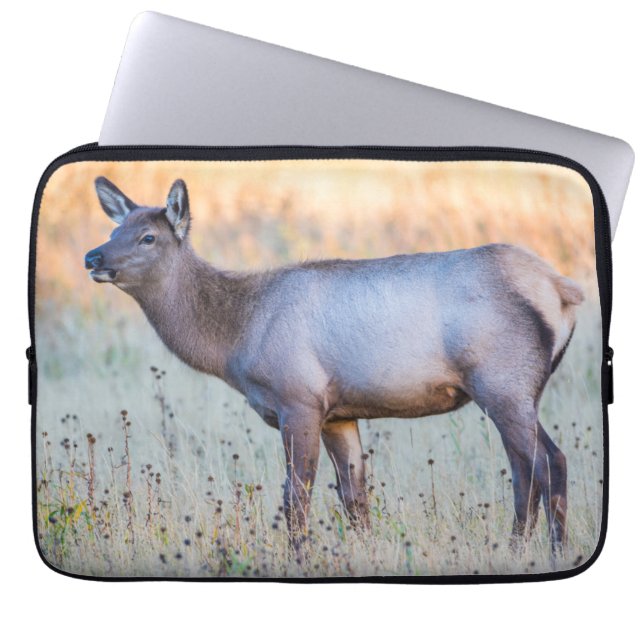 Calf Elk | Madison Junction, Wyoming Laptop Fodral (Framsidan)