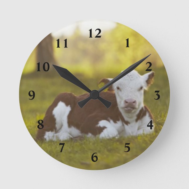Calf Resting Rund Klocka (Framsida)
