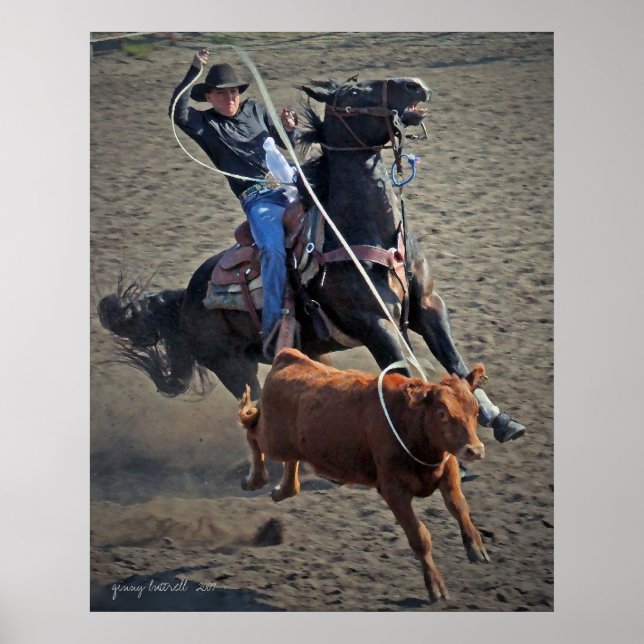Calf Roper Poster (Framsidan)