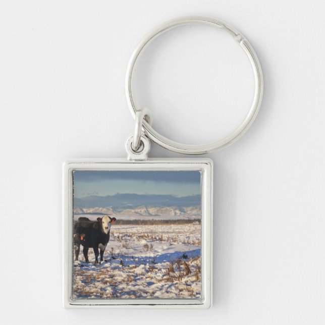 calgary alberta, Kanada Fyrkantig Silverfärgad Nyckelring (Framsidan)