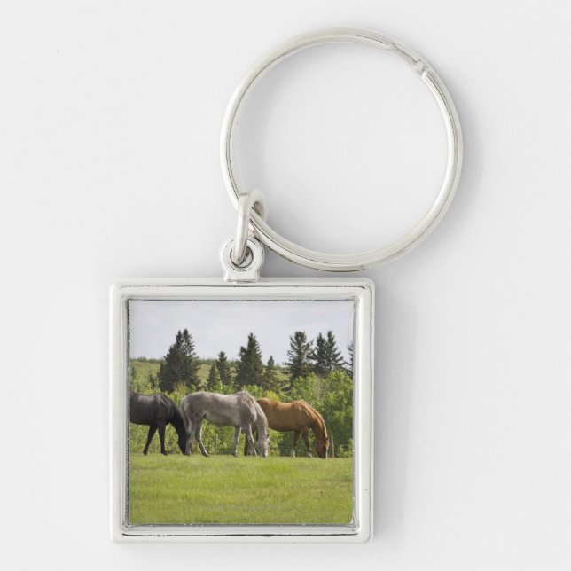 Calgary Alberta, Kanada Fyrkantig Silverfärgad Nyckelring (Framsidan)