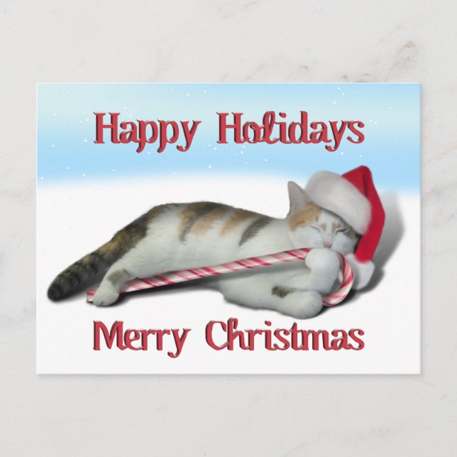Cali, Candy cane Kattunge Vykort (Framsida)