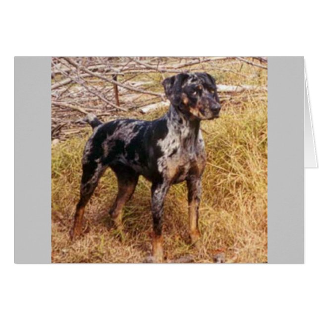 Cali Hälsningskort (Framsidan Horizontal)