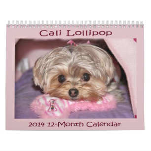Cali klubba kalender för 2014 12-Månad