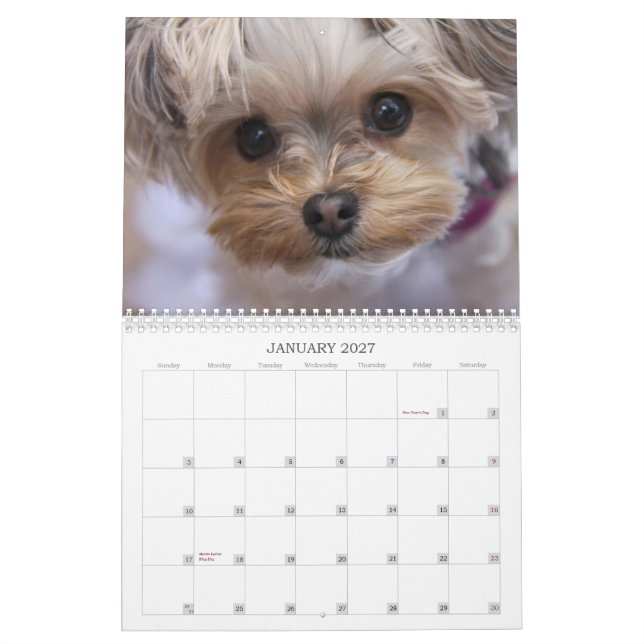 Cali klubba kalender för 2015 12-Månad (Jan 2027)