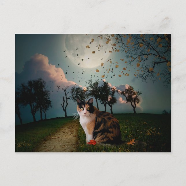 Cali Måne Vykort (Framsida)