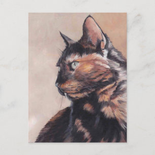 Calico American Shorthair Cat Postcard Vykort