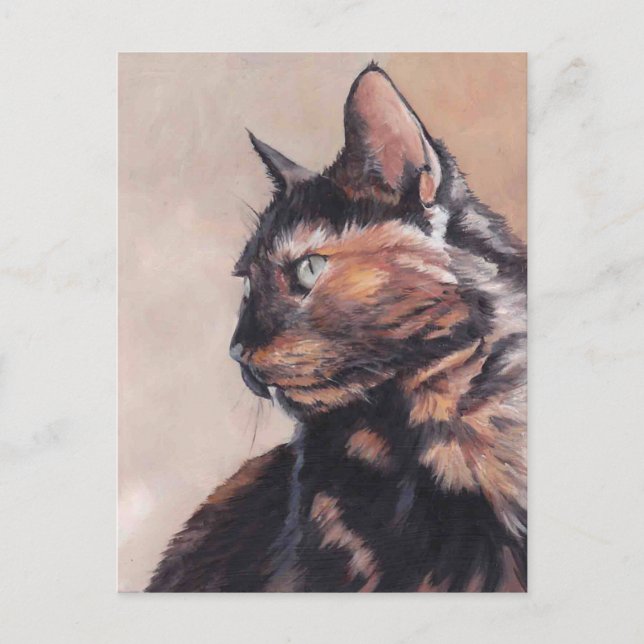 Calico American Shorthair Cat Postcard Vykort (Framsida)
