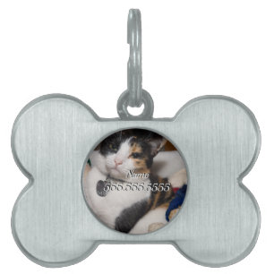 Calico and Snögubbars Pet ID-tagg ID-bricka Husdjur
