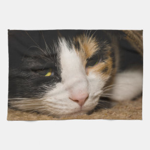 Calico Ansikte Kökshandduk