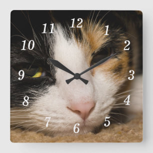 Calico Ansikte Wall Clock Fyrkantig Klocka
