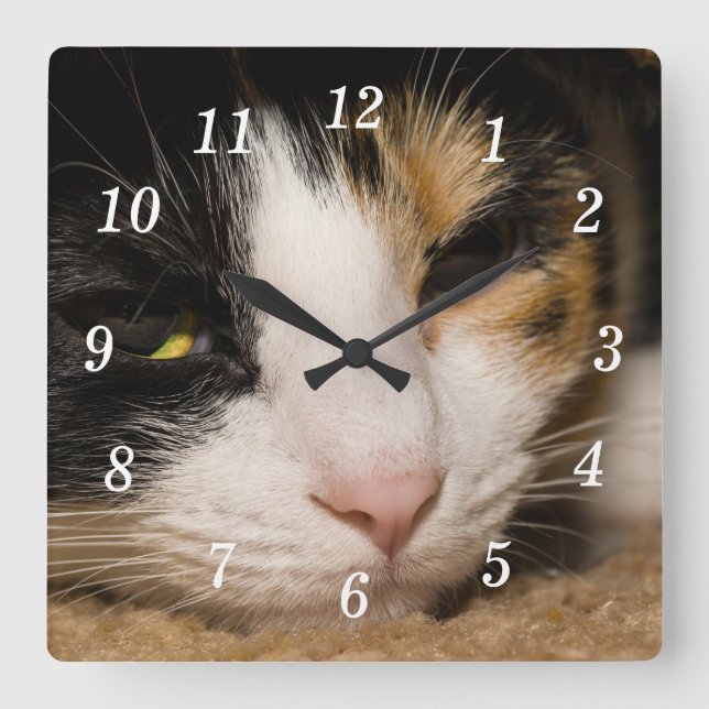 Calico Ansikte Wall Clock Fyrkantig Klocka (Framsida)
