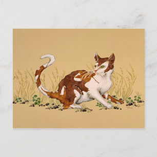 Calico Autum Vykort