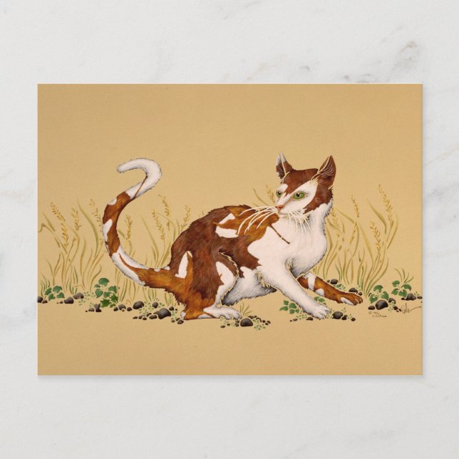 Calico Autum Vykort (Framsida)