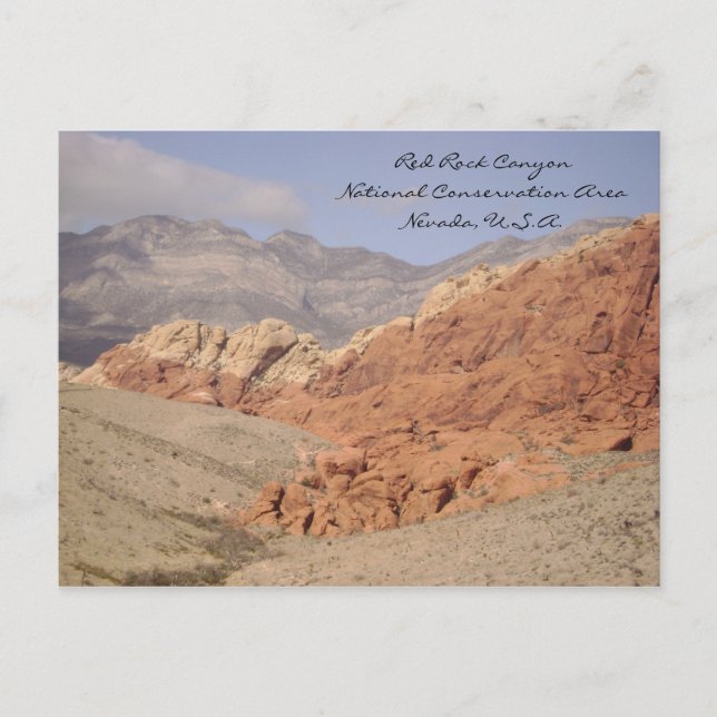 Calico Backe Vykort (Framsida)