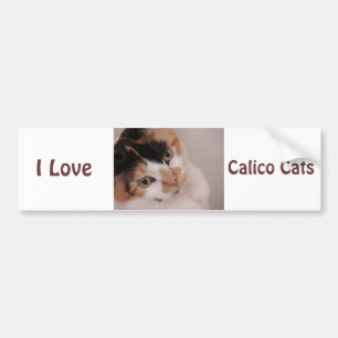 Calico Beauty Cat Bildekal