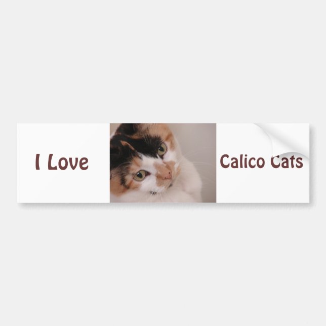 Calico Beauty Cat Bildekal (Framsidan)