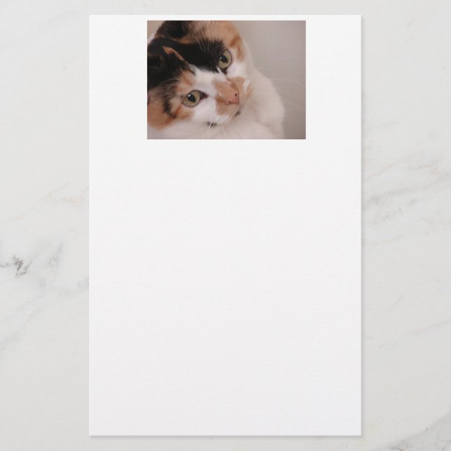 Calico Beauty Cat Brevpapper (Framsida)