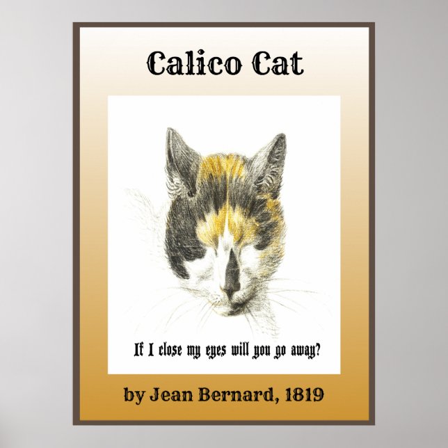 Calico Cat 1819 Poster (Framsidan)