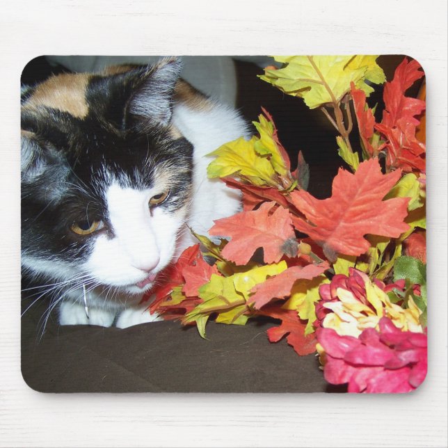 Calico Cat Autumn Höst löv Mousepad Musmatta (Framsidan)