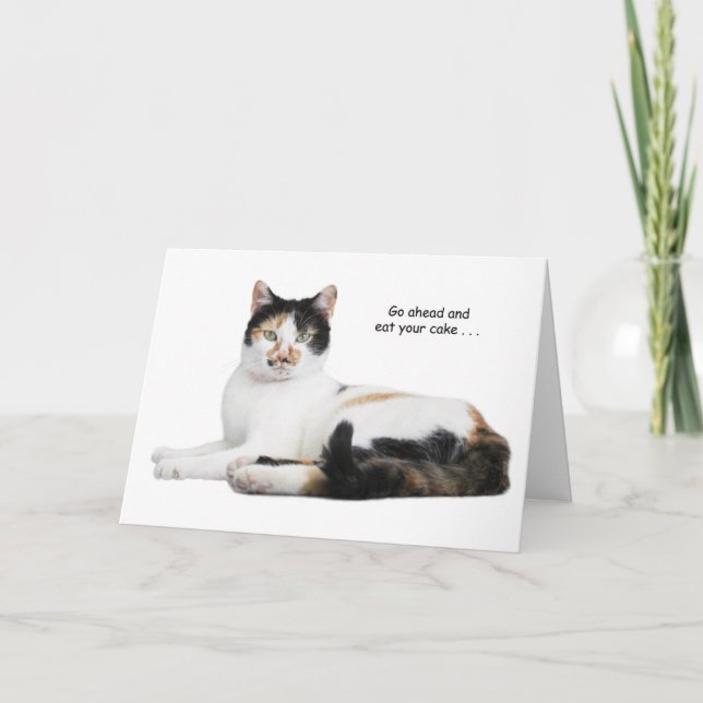 Calico Cat Birthday Card Kort (Framsida)