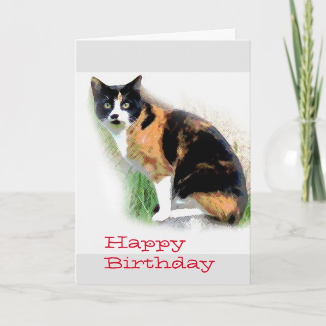 Calico cat Birthday Kort (Framsida)