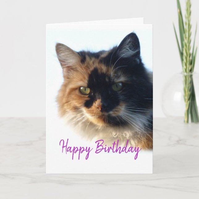 Calico cat Birthday Kort (Framsida)