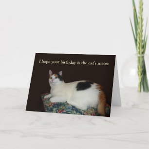 Calico Cat Birthday Kort