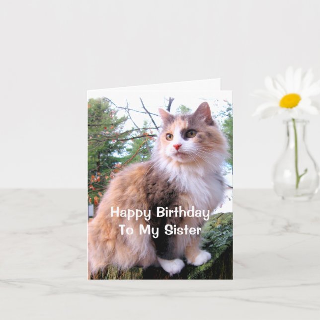Calico Cat Birthday Sister Kort (Liten växt)