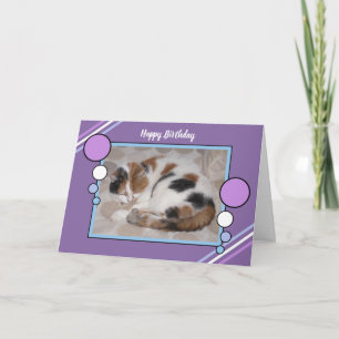 Calico cat bockade i solljus lila blue kort