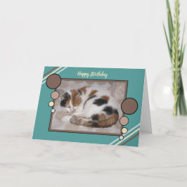 Calico cat botade upp solljus (bruna turkos) kort