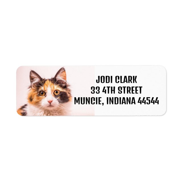 CALICO CAT CUTE-RETURETIKETTER RETURADRESS ETIKETT (Framsidan)