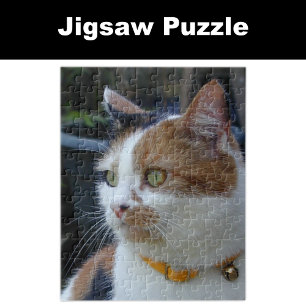 Calico cat djur älskare pussel