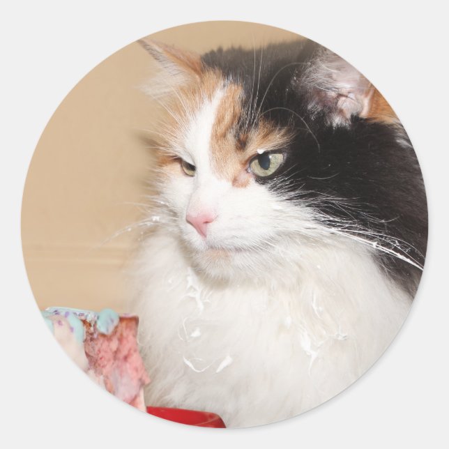 Calico cat-eats, födelsedagskalas runt klistermärke (Framsida)