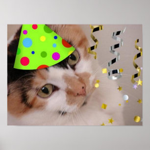 Calico Cat Födelsedagsfest Poster
