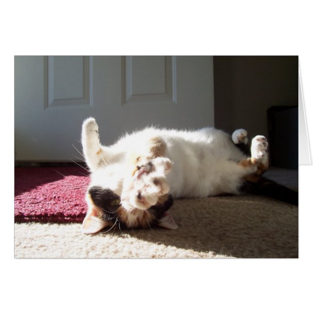 Calico cat hälsningskort (Framsidan Horizontal)
