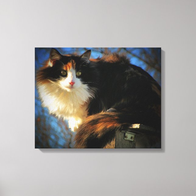 Calico Cat i vinden Canvastryck (Framsida)
