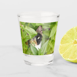 Calico Cat i Zinnias