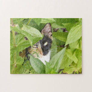 Calico Cat i Zinnias Pussel