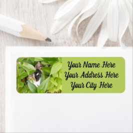 Calico Cat i Zinnias Returadress Etikett