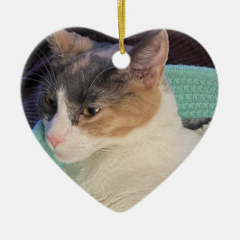 Calico Cat in Cat Bed Julgransprydnad Keramik