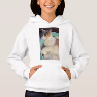 Calico Cat in Cat Bed T Shirt