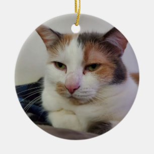 Calico cat julgransprydnad keramik