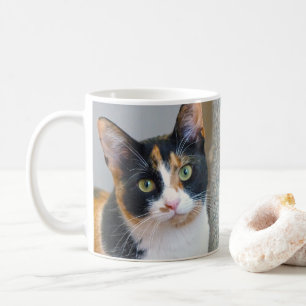 Calico Cat Kaffemugg
