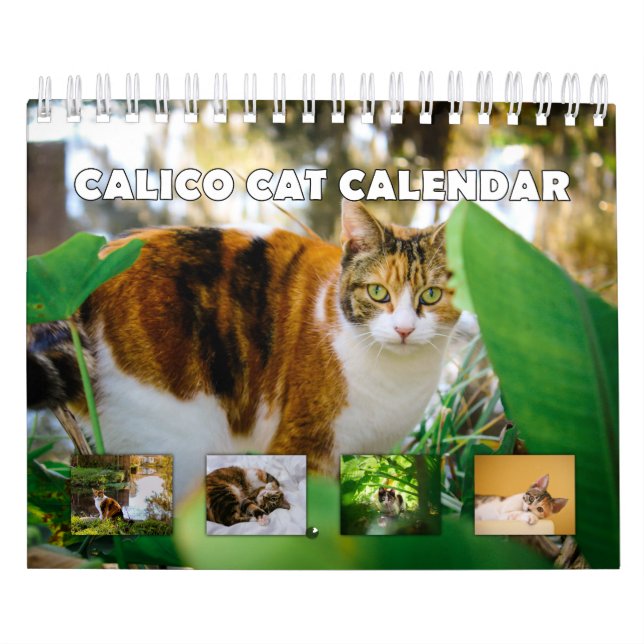 Calico Cat Kalender (Omslag)