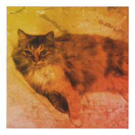 Calico Cat Kanvastryck
