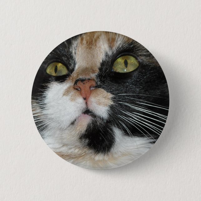 Calico Cat Knapp (Framsida)